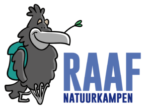 LogoRaaf